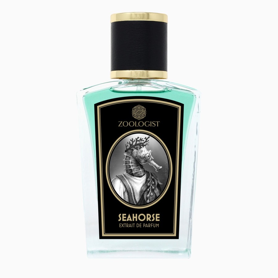 Zoologist Seahorse New