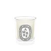 Diptyque Kleine Kerze Ambre Hot