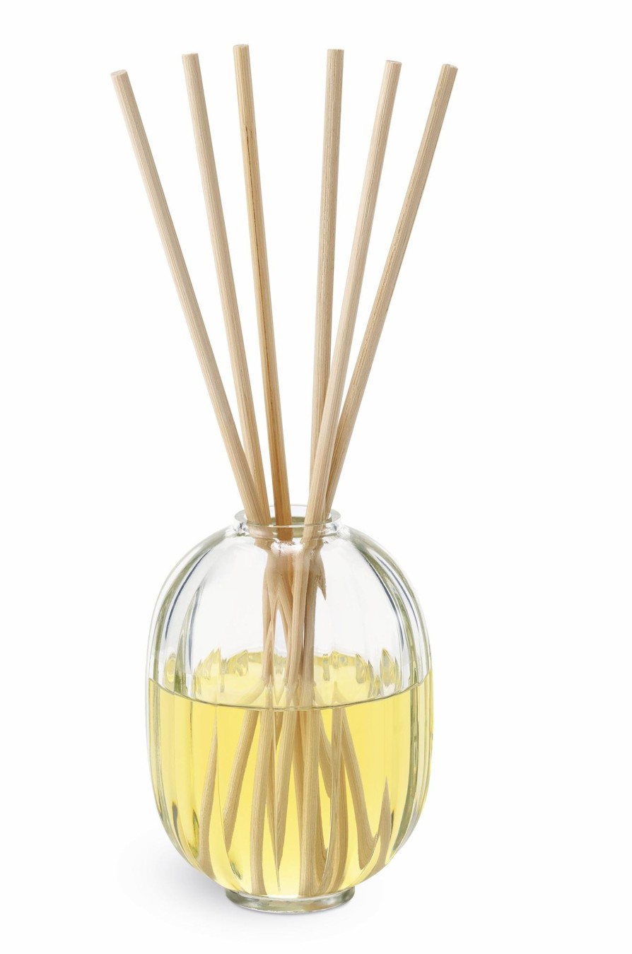 Diptyque Raumduftspender Citronelle Online