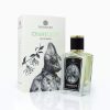 Zoologist Chameleon New