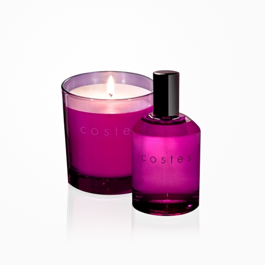 Costes Home Fragrance Purple Wholesale