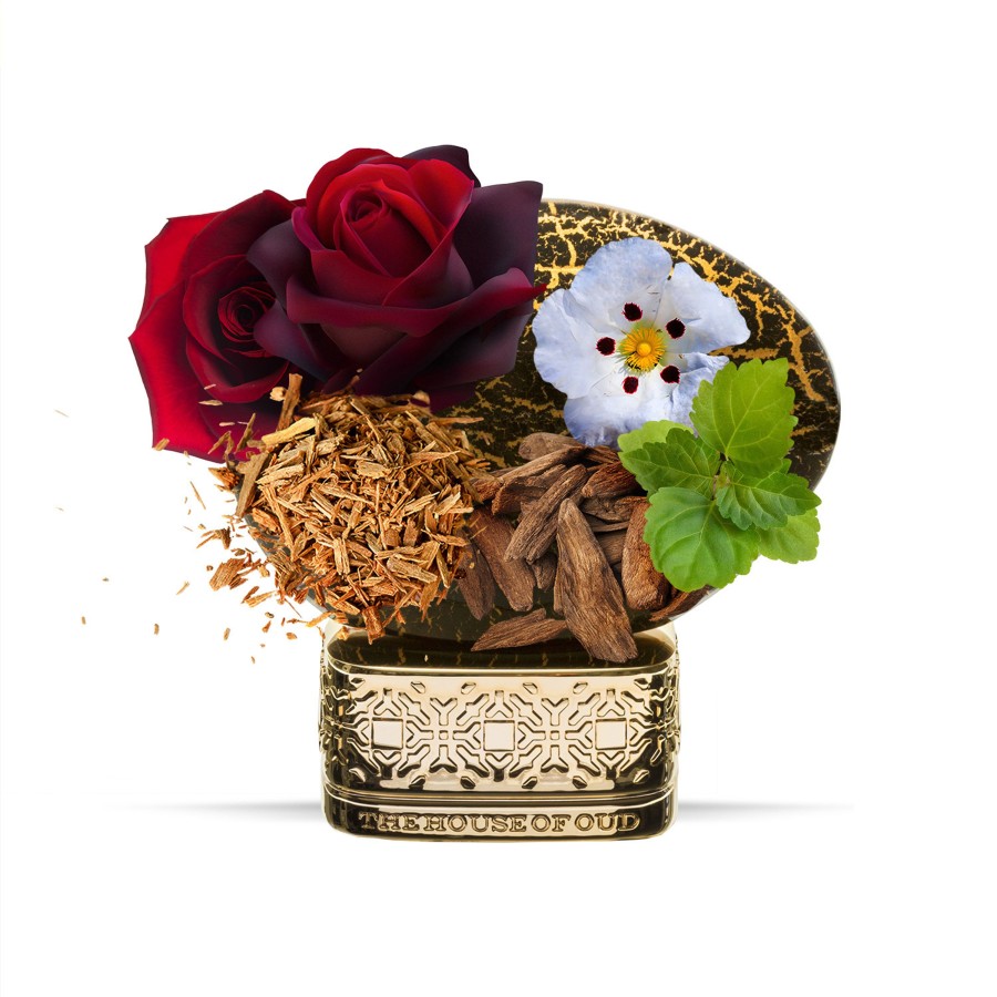The House of Oud Blessing Silence Hot