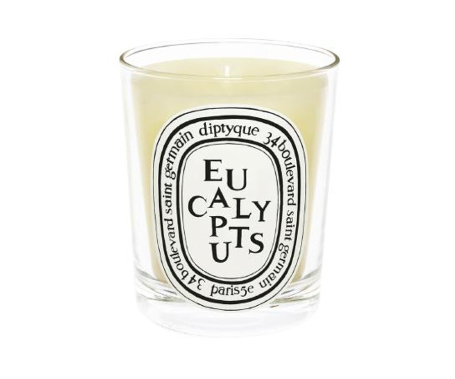 Diptyque Kerze Eucalyptus Wholesale