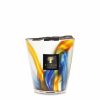 Baobab Max 16 Nirvana Holy Wholesale